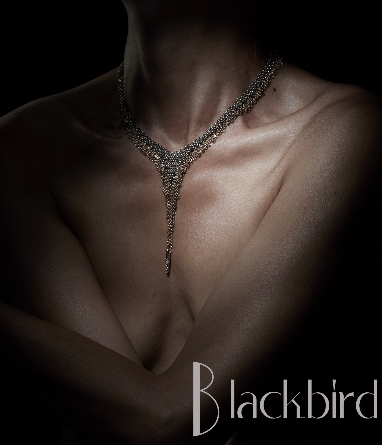 Blackbird collection